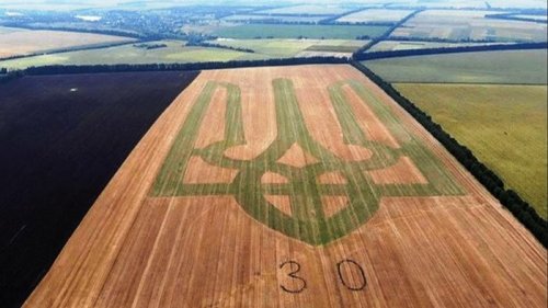 Фермеры Виннитчины на поле создали герб Украины (видео)