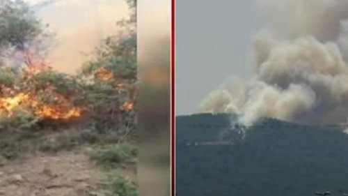 Возле Стамбула на острове горит лес (видео)