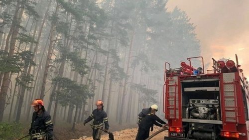 В Украине за год на 20% сократилось число лесных пожаров