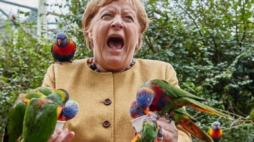 Фото Меркель с попугаями позабавили соцсети (фото)
