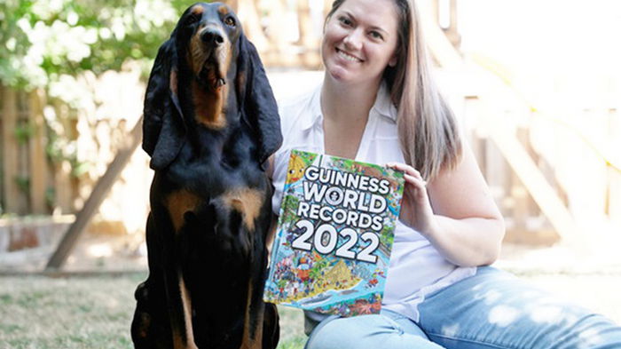Собака из США стала рекордсменом по длине ушей