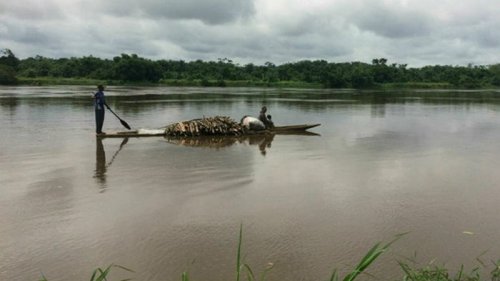 На реке Конго при крушении судна погибли более 50 человек
