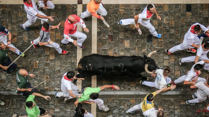 В Испании возобновили забеги быков: первый же закончился смертью