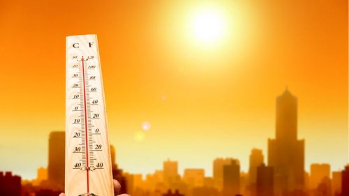 Экстремальная жара может стать нормой в Европе – прогноз