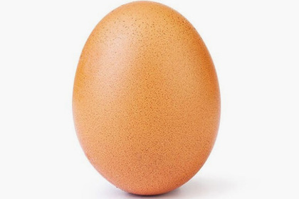 Поставившее мировой рекорд яйцо предсказали задолго до его появления