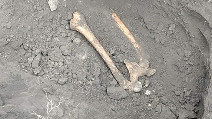 На Харьковщине в парке выкопали человеческие кости (фото)