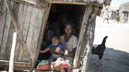 Голод на Мадагаскаре: люди едят кактусы и саранчу