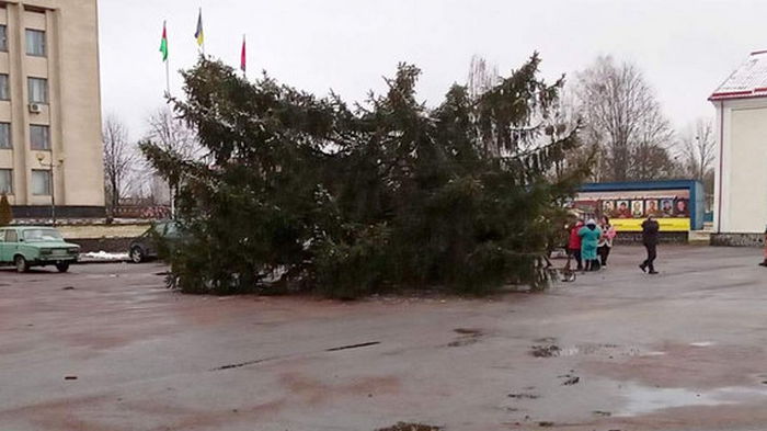 Под Житомиром рухнула праздничная елка, оставив людей без интернета (видео)