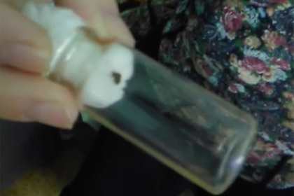 В российской детской больнице обнаружили клопов и мышей