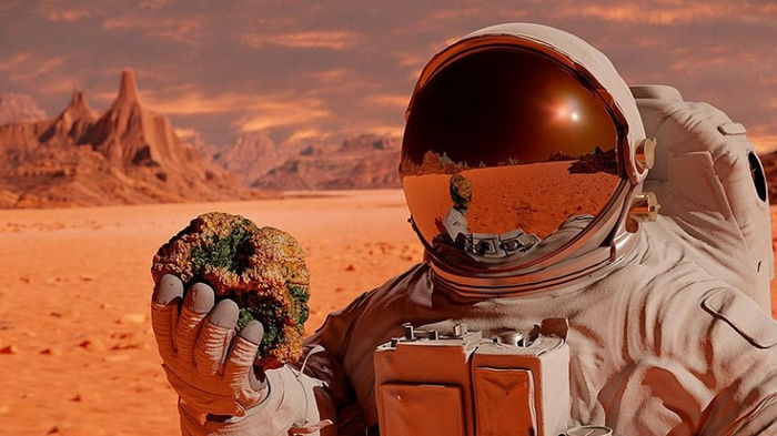 Экс-ученый NASA: люди могут терраформировать Марс и Венеру