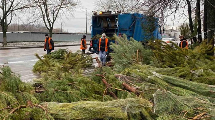 На улицах Одессы торговцы бросили тысячи елок (фото)
