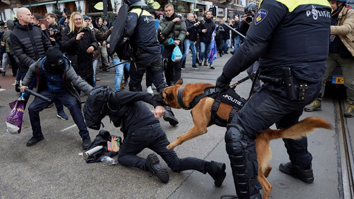 Разгон протеста в Амстердаме: копы спустили собак