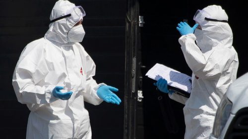 В мире более 315 млн случаев заболевания COVID-19