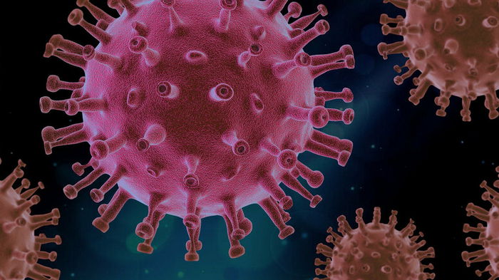В канализации Нью-Йорка найдены новые варианты коронавируса