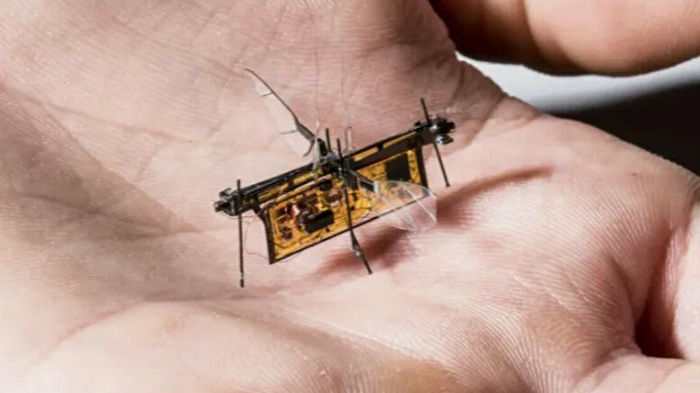 В Британии создали летающих роботов размером с насекомое