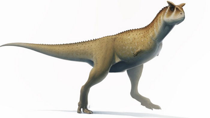 Безрукий динозавр: Палеонтологи нашли останки хищника без развитых верхних конечностей