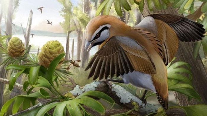 Имели очень длинный язык. Ученые открыли новый вид древних птиц, которые жили 120 млн лет назад