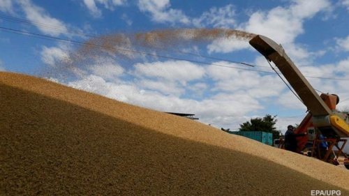В Украине на четверть вырос экспорт зерновых
