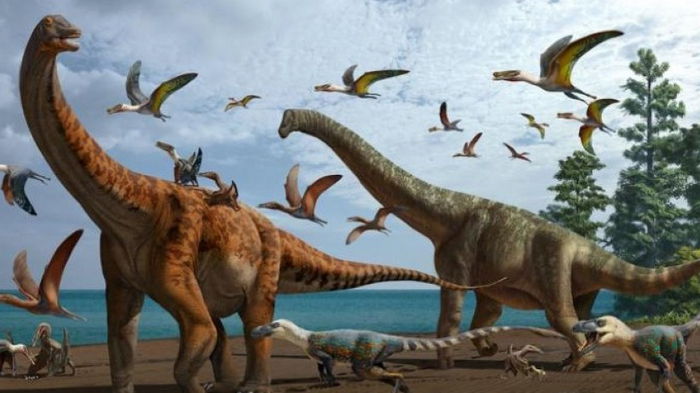 В Китае ученые нашли два новых вида динозавров