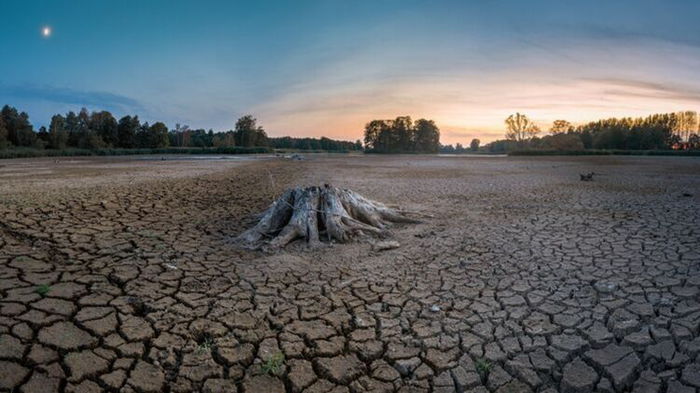 В Европе ожидается самая сильная засуха за последние 500 лет - Еврокомиссия