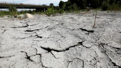 В Британии рекордная жара спровоцировала засуху
