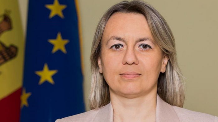 Министр окружающей среды Молдовы ушла в отставку из-за дров