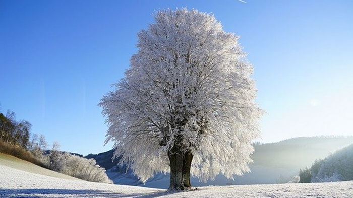 Укргидрометцентр прогнозирует «не суровую» зиму