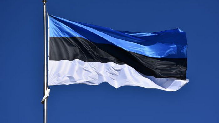 Эстония лишит россиян и белорусов права владеть оружием