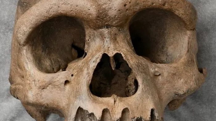 Новый вид. В Китае обнаружили череп неизвестного науке древнего «человека-дракона»