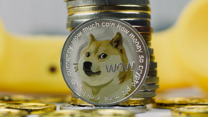 Криптовалюта Dogecoin выросла на 35% на фоне сделки Маска с Twitter