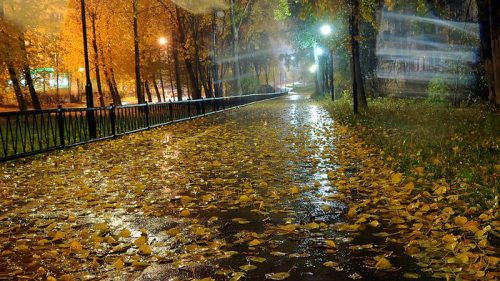 Местами ветер и дожди: какой будет погода в Украине сегодня