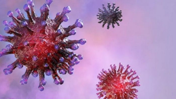 Из-за пандемии COVID-19 возможно полностью исчезли два типа вируса гриппа, — ученые