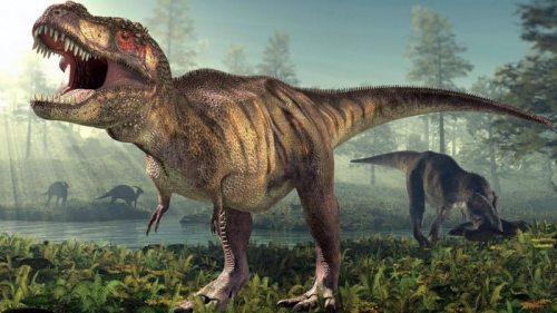 Ученые выяснили, сколько всего тираннозавров рексов населяли Землю