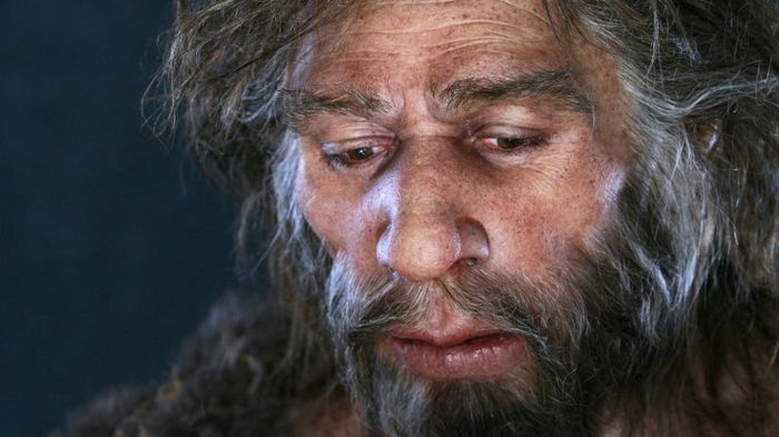 Ученые выяснили, что неандертальцы могли разговаривать не хуже Homo sapiens