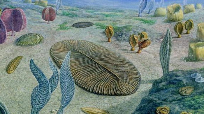 Ученые выяснили, что мы имеем гены морских чудовищ возрастом 500 млн лет