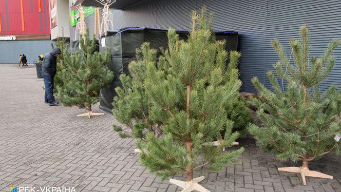 Утилизация елок в Киеве. Как будут работать пункты приема и где их найти