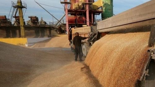 В 2023 году Украина экспортировала более 22 млн тонн зерна — Минагрополитики