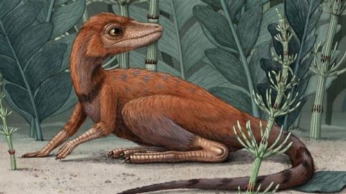 Ученые нашли крошечного предка динозавров
