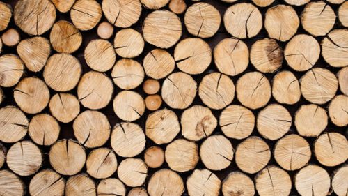 В Украине появился биржевой индекс древесины