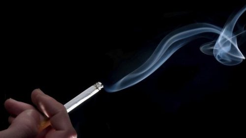 Дымок: сигареты оптом по выгодным условиям