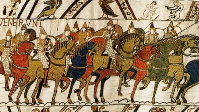 Викинги привозили своих животных в Англию — ученые (фото)