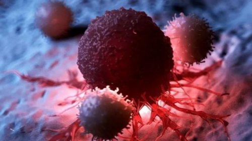 Ученые научились возвращать клеткам рака обычное состояние
