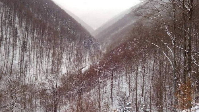 Карпаты засыпает снегом: туристов просят отказаться от похода в горы
