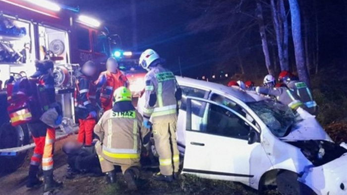 В Польше машина с нелегалами врезалась в дерево