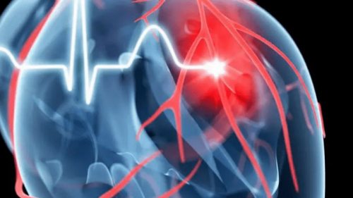 Ученые нашли способ снизить риск сердечных заболеваний — помогут разговоры