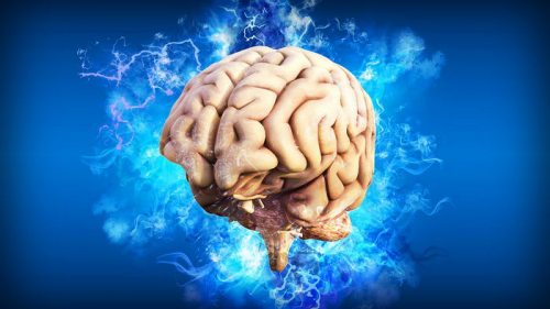 Главный «фокус» мозга: ученые рассказали, как он перекручивает восприятие человека