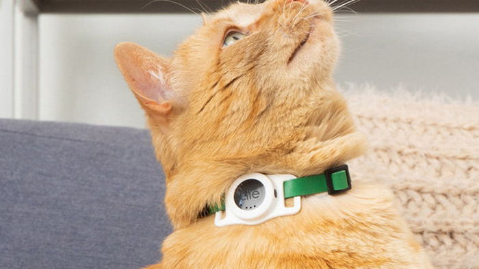 Компания Tile выпустила трекер, который поможет следить за вашим котом