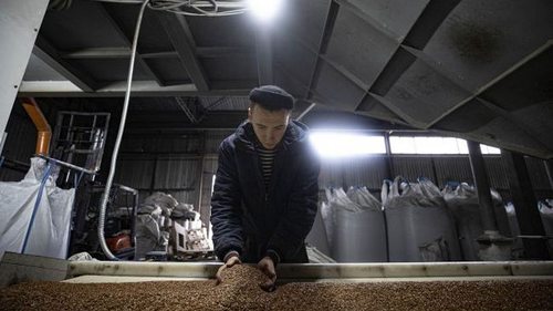 Словакия отменила односторонние ограничения на импорт украинского зерна