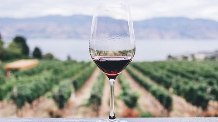 Ученые нашли простой способ избавить вино от неприятного запаха