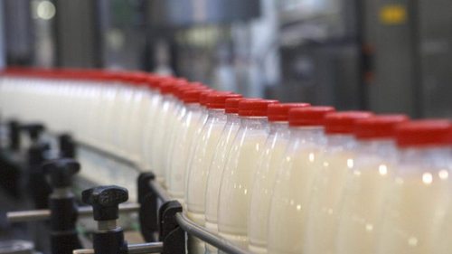 Бензин из молока: в США разработали инновационное биотопливо